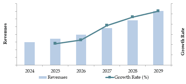India Multi Brand Car Service Market Future Outlook