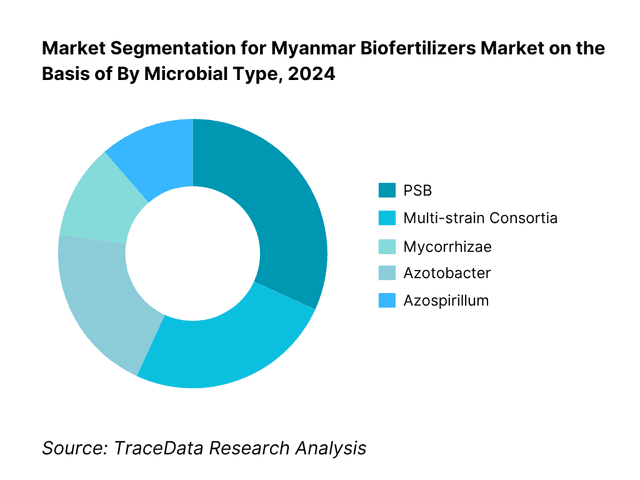 Myanmar Biofertilizers Market Segmentation By Microbial Type