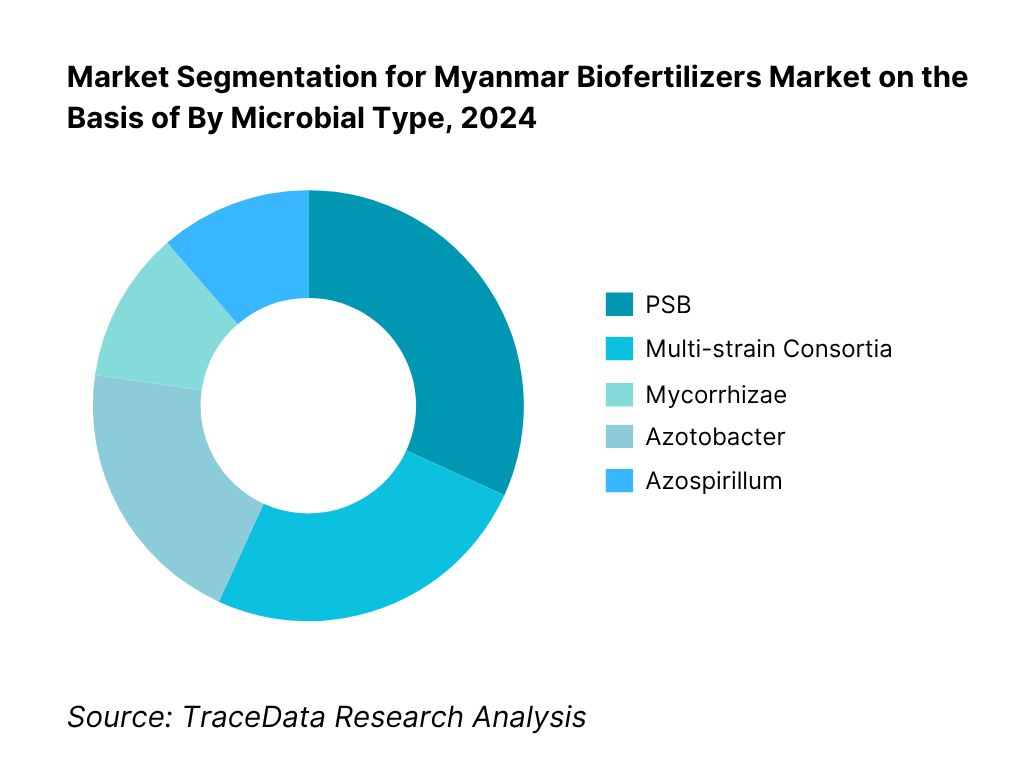 Myanmar Biofertilizers Market Segmentation By Microbial Type