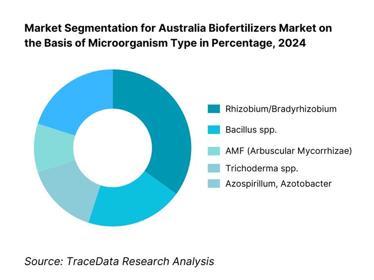 Australia Biofertilizers Market Segmentation By Microorganism Type