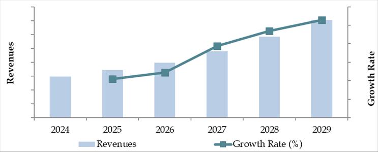 Future Outlook and Projections for Brazil Car Finance Market Size